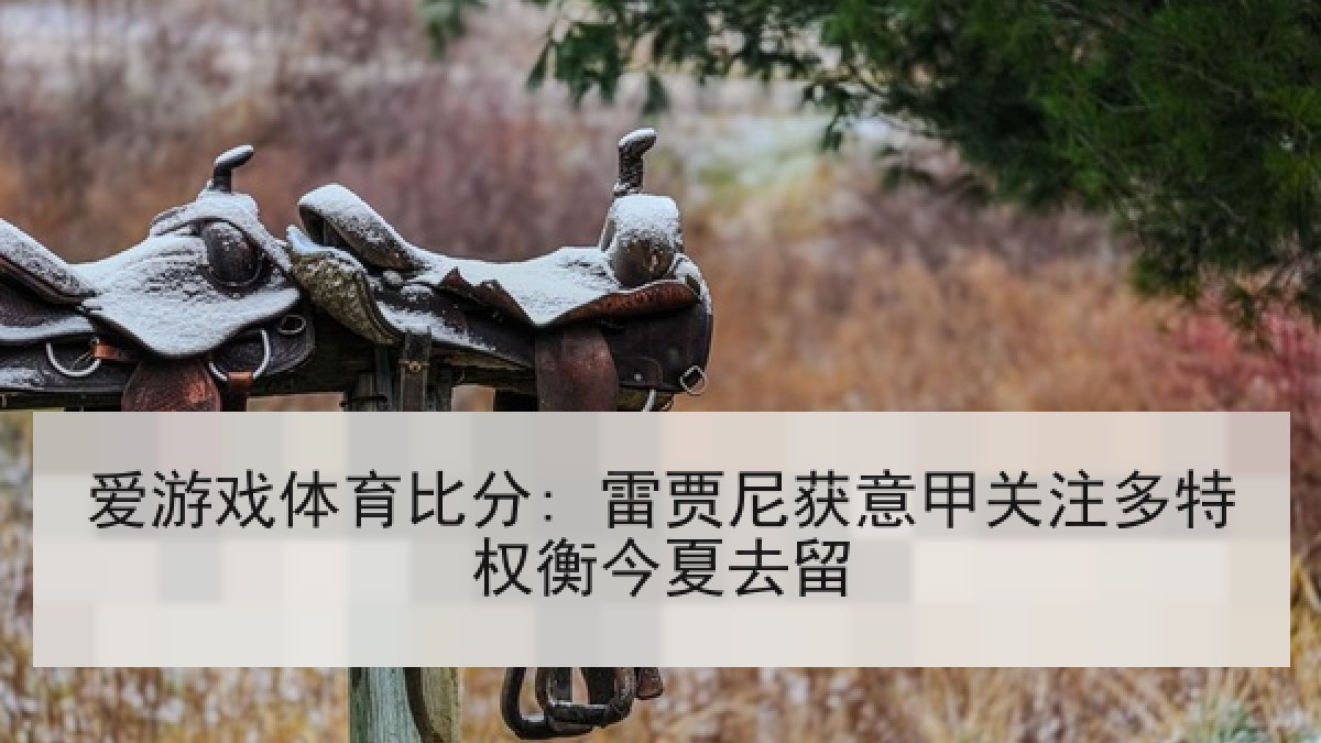 爱游戏体育比分: 雷贾尼获意甲关注多特权衡今夏去留